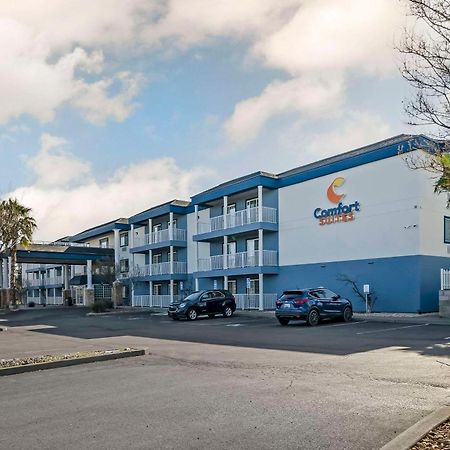 Comfort Suites Red Bluff Near I-5 المظهر الخارجي الصورة